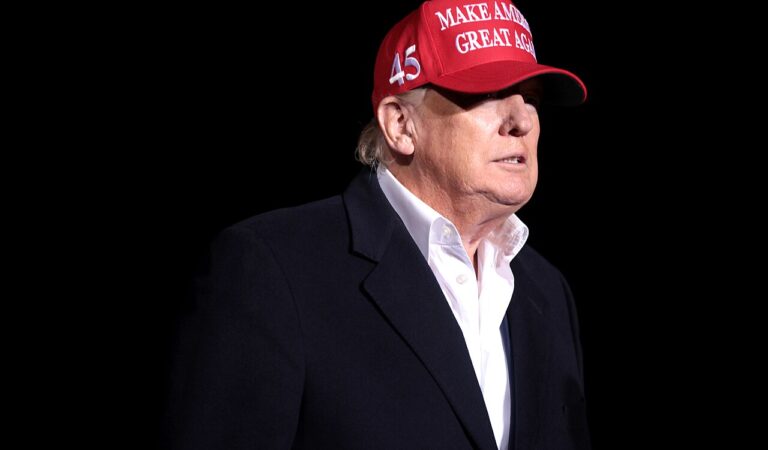 GOP Establishment Scheme to Kill the SAVE Act
