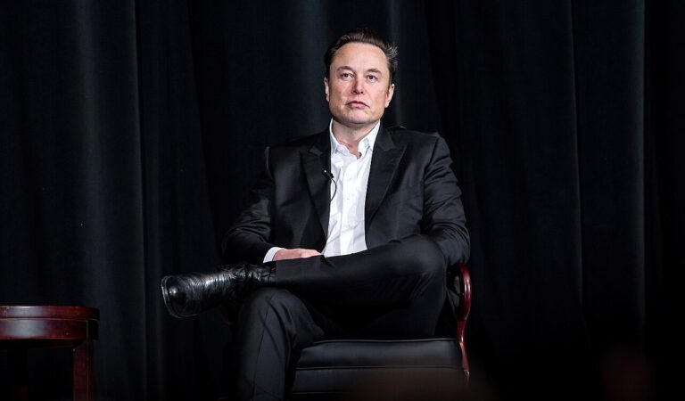 SHOCKING: A Top Democrat Accuses Musk of a Crime Too Disturbing to Name