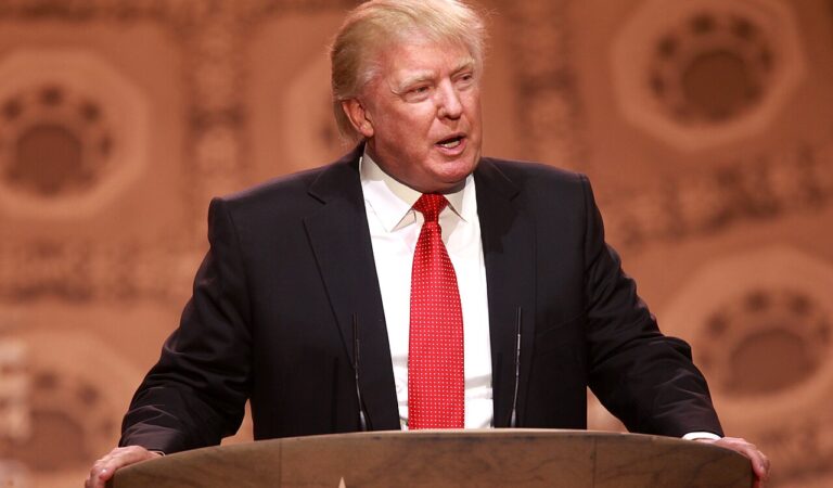 Republicans Were Left in a State of Shock Over This Top Pollster’s Doomsday Warning